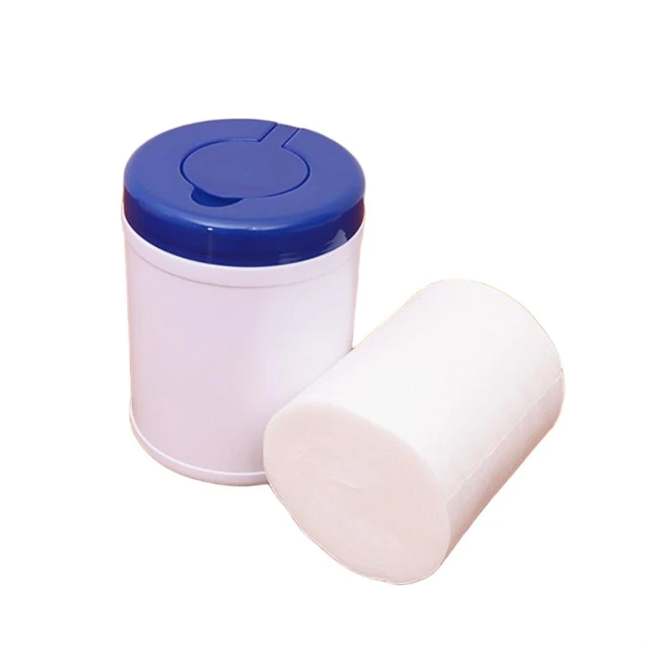 Dry Wet Wipes